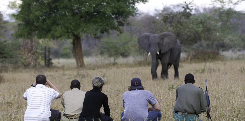 liwonde-national-park-malawi-national-parks-reserves-malawian-style-malawi-adventures-experiences-holidays-specialist-tour-operator-mvuu-walking-safari-liwonde